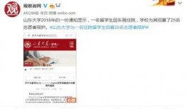 爆料山大留学生事件视频,揭秘山大留学生真实生活